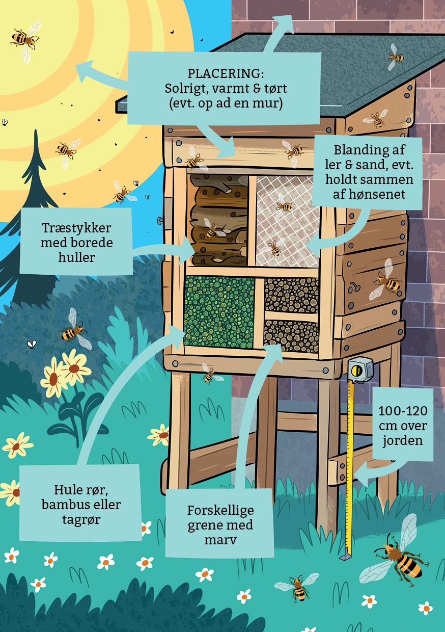 Bihotel til bier som animeret guide
