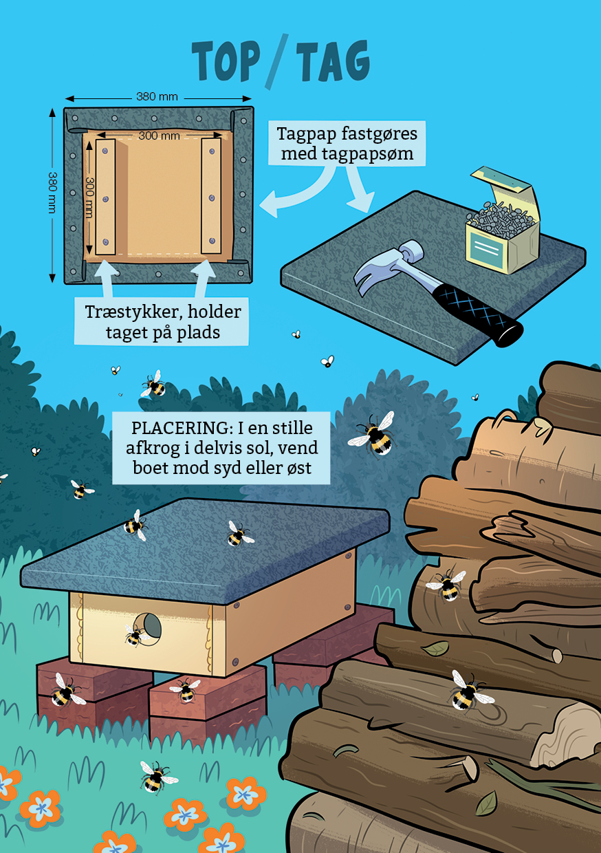 Insekthotel til humlebier vejledning til placering af taget