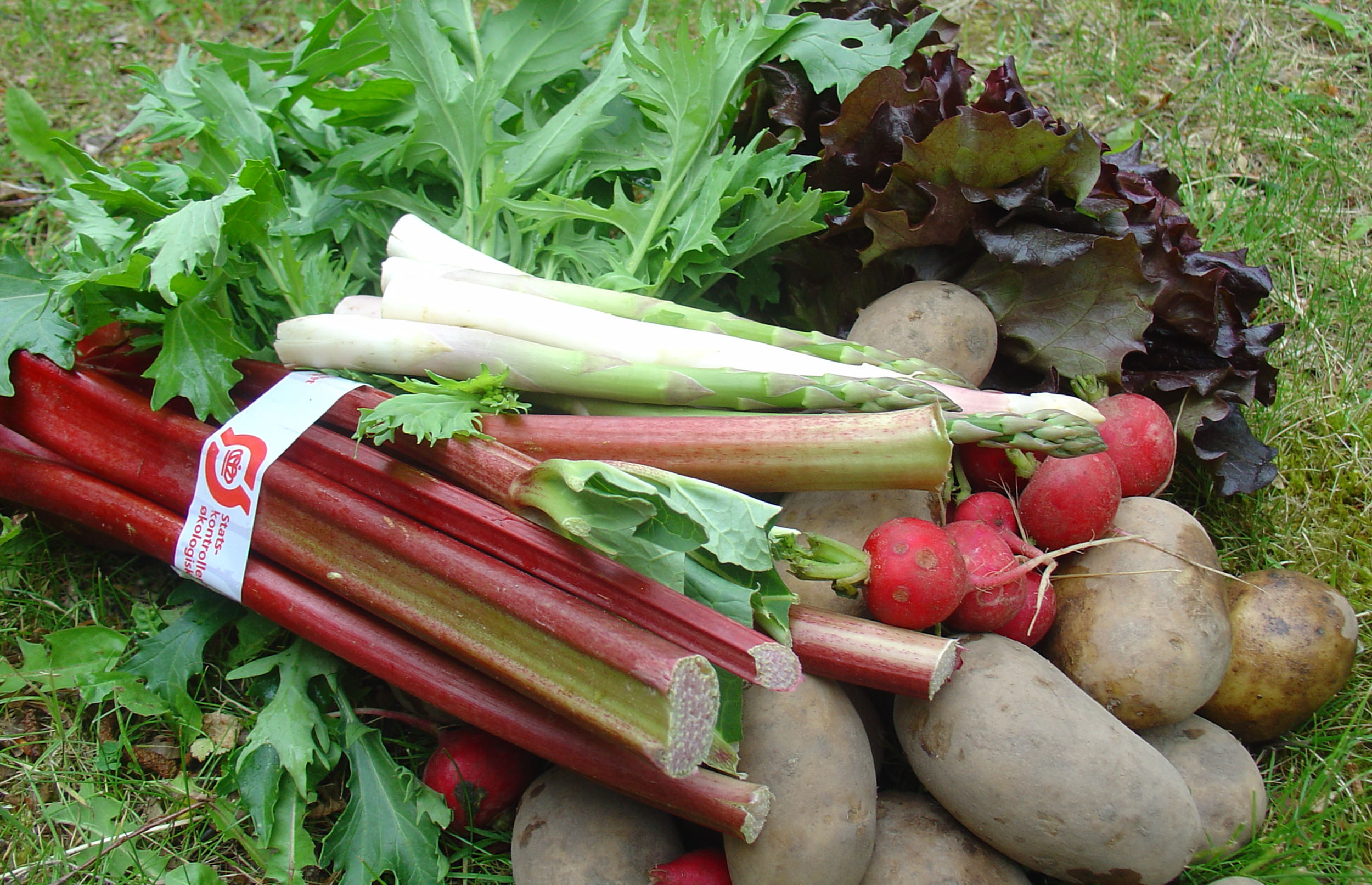  Køb lokalt og økologisk