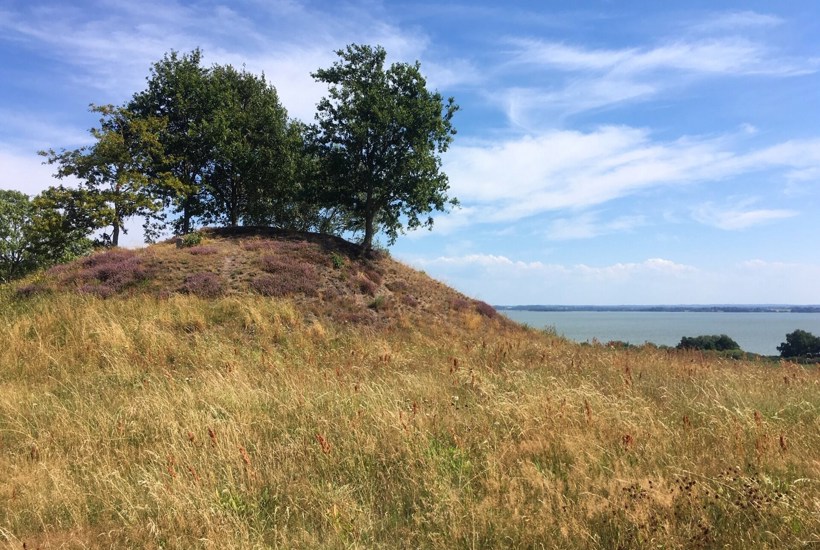 Bæveren får fred: Stort område ved Danmarks største sø fredes