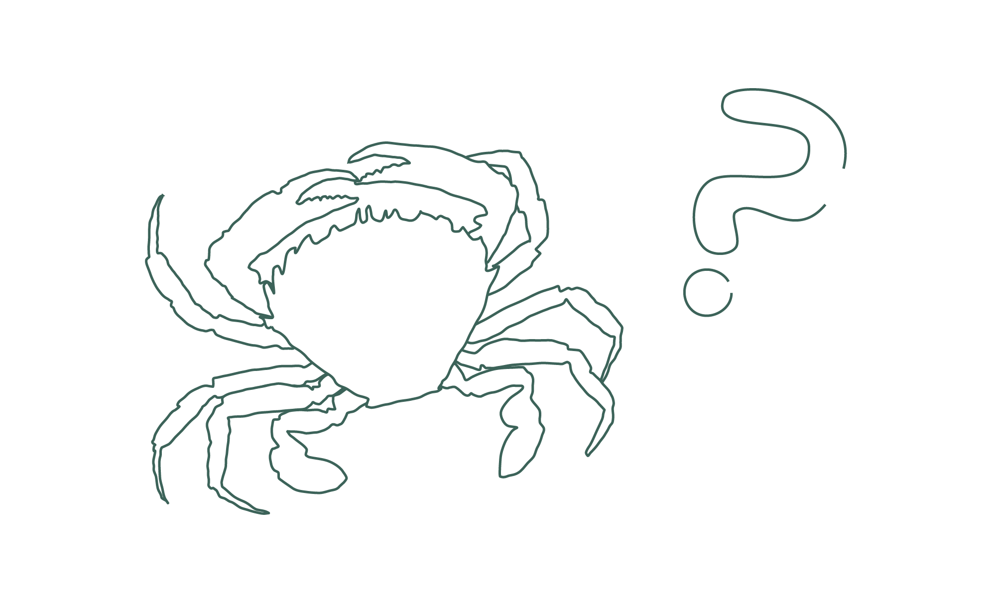 krabbe illustration