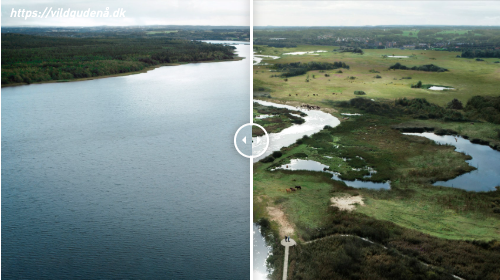 Naturgenopretning af Danmarks største å rykker tættere på 