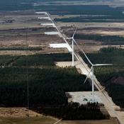 Miljøminister frikender vindmøller stik mod forskeres konklusion