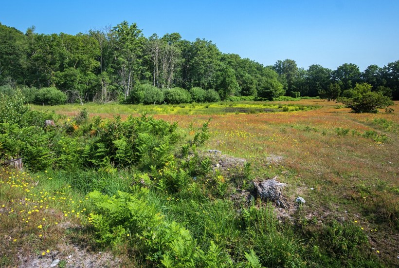 Seks partier ønsker strengt beskyttet natur 