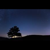 5 sjove aktiviteter du kan lave om natten i naturen