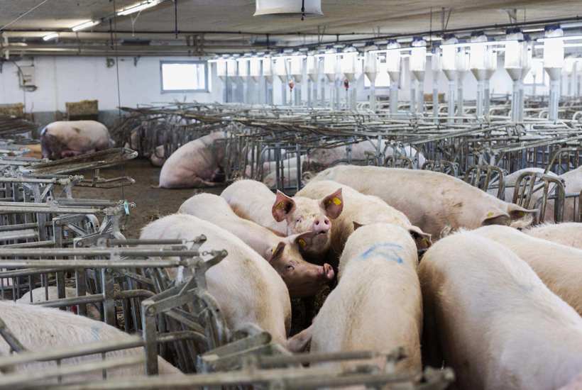 Udvikling af landbruget afvikler landsbyerne
