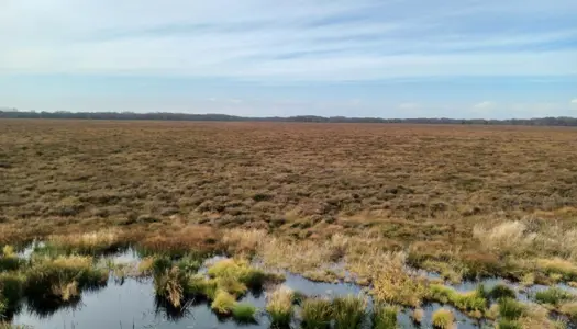 Grøn Trepart bremser CO2-udslip