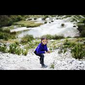 Forskere: Lad dine børn fare vild i skoven