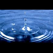 Drikkevand, klima og natur: Her er vælgernes vigtigste grønne krav til ny regering