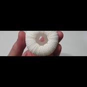 Undervisningsmateriale