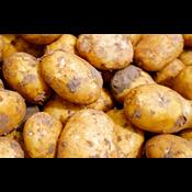 Trods EU-forbud: Danske kartoffelavlere må igen bruge farlig sprøjtegift