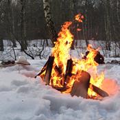 Vild vinterferie: 7 aktiviteter i den danske natur
