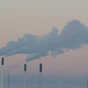 Ny energiaftale bør skrue ned for biomasse-afbrænding