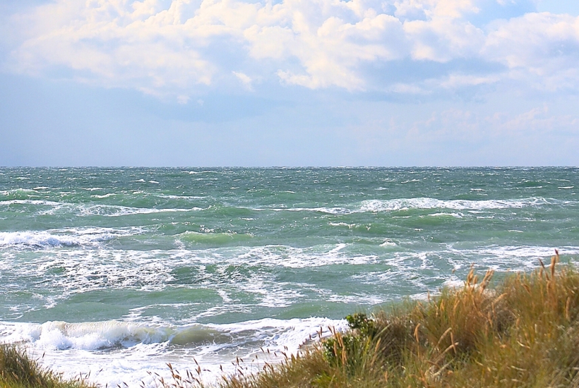 Hård kritik fra statens vagthund: Storforurenende havbrug opererer uden tilladelser