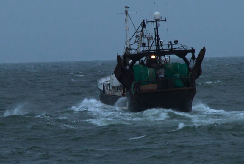 DN og WWF: Trawlforbud skal udvides i sydlige Kattegat og Vadehavet