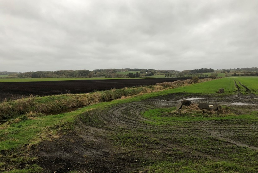 Undgå at købe særlig kartoffeltype: Går ud over sjælden natur