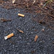 Danskerne er trætte af cigaretskod i naturen
