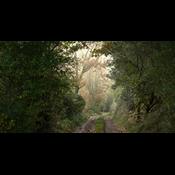 11 klimahacks: Skab en mere bæredygtig hverdag i 2023