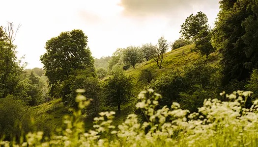 Vandring på versefødder