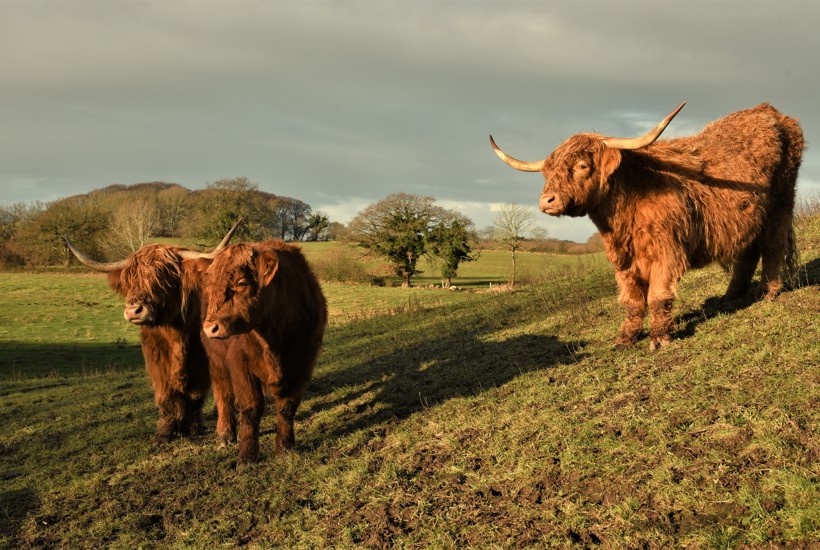 Ny kvælstofaftale er et vigtigt skridt mod bedre havmiljø og natur 