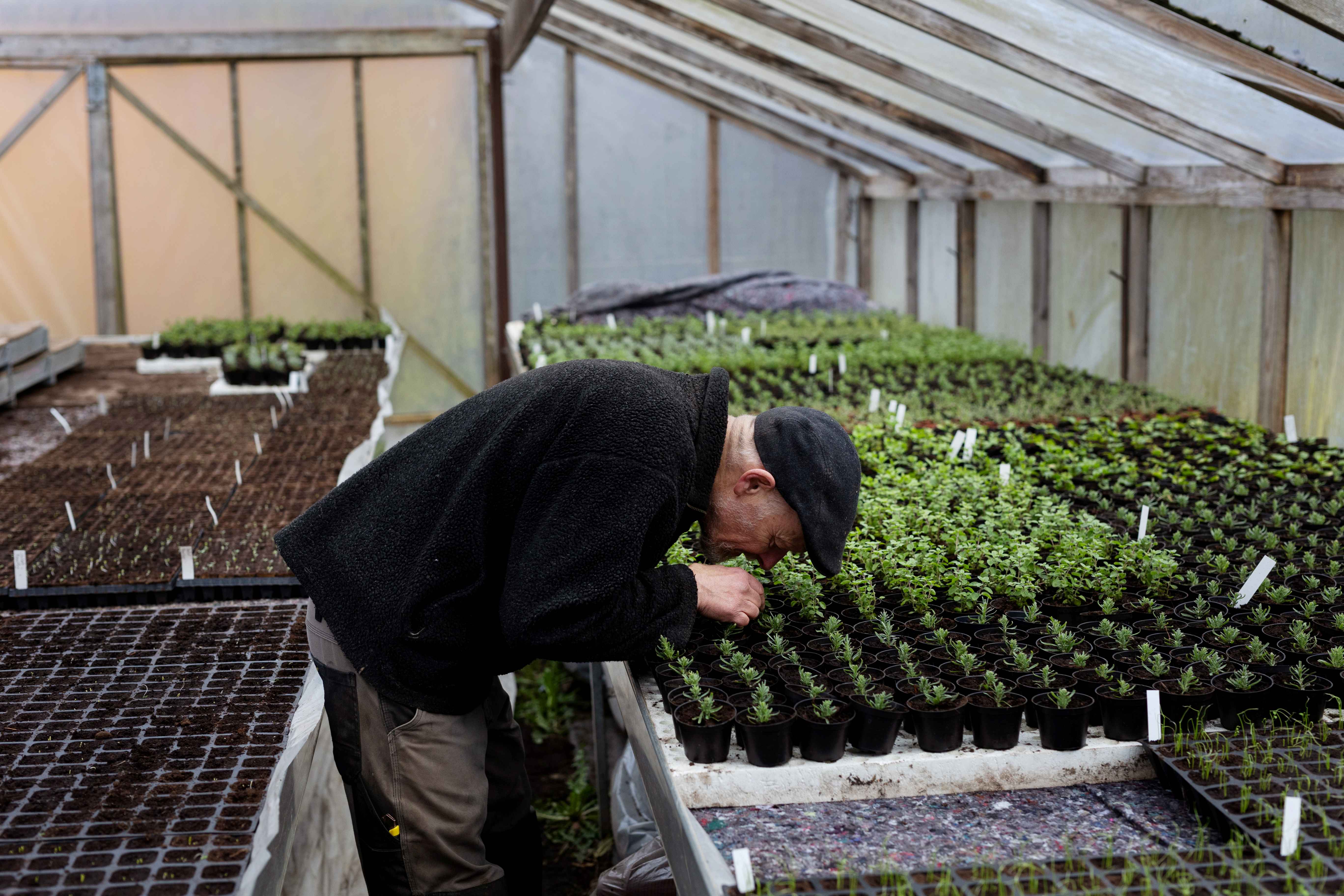 Sådan kan fremtidens regenerative landbrug være en gave for natur og klima 