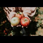 Lav simpel mad med naturens råvarer