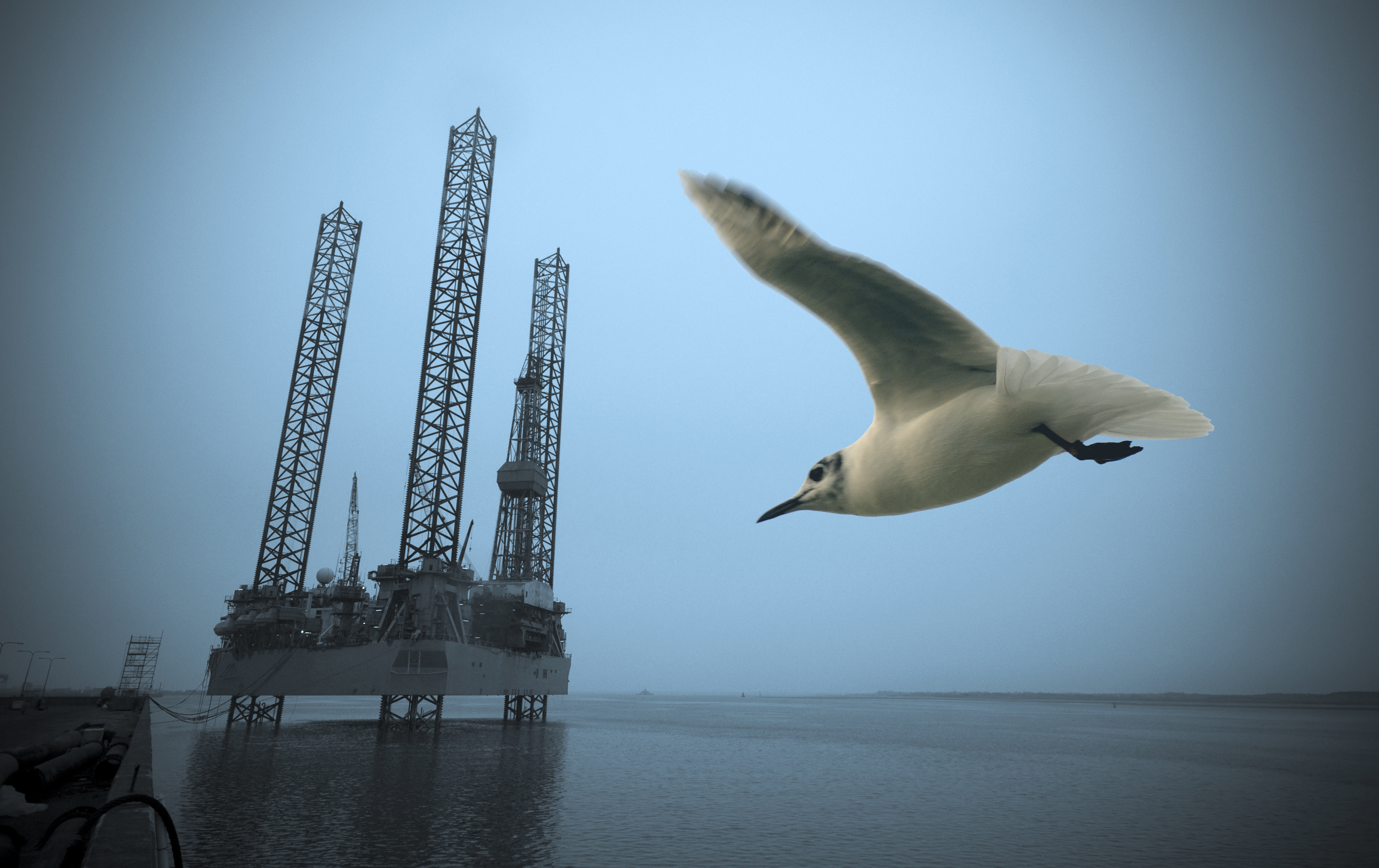 Ny gasjagt i Nordsøen strider mod klimaloven