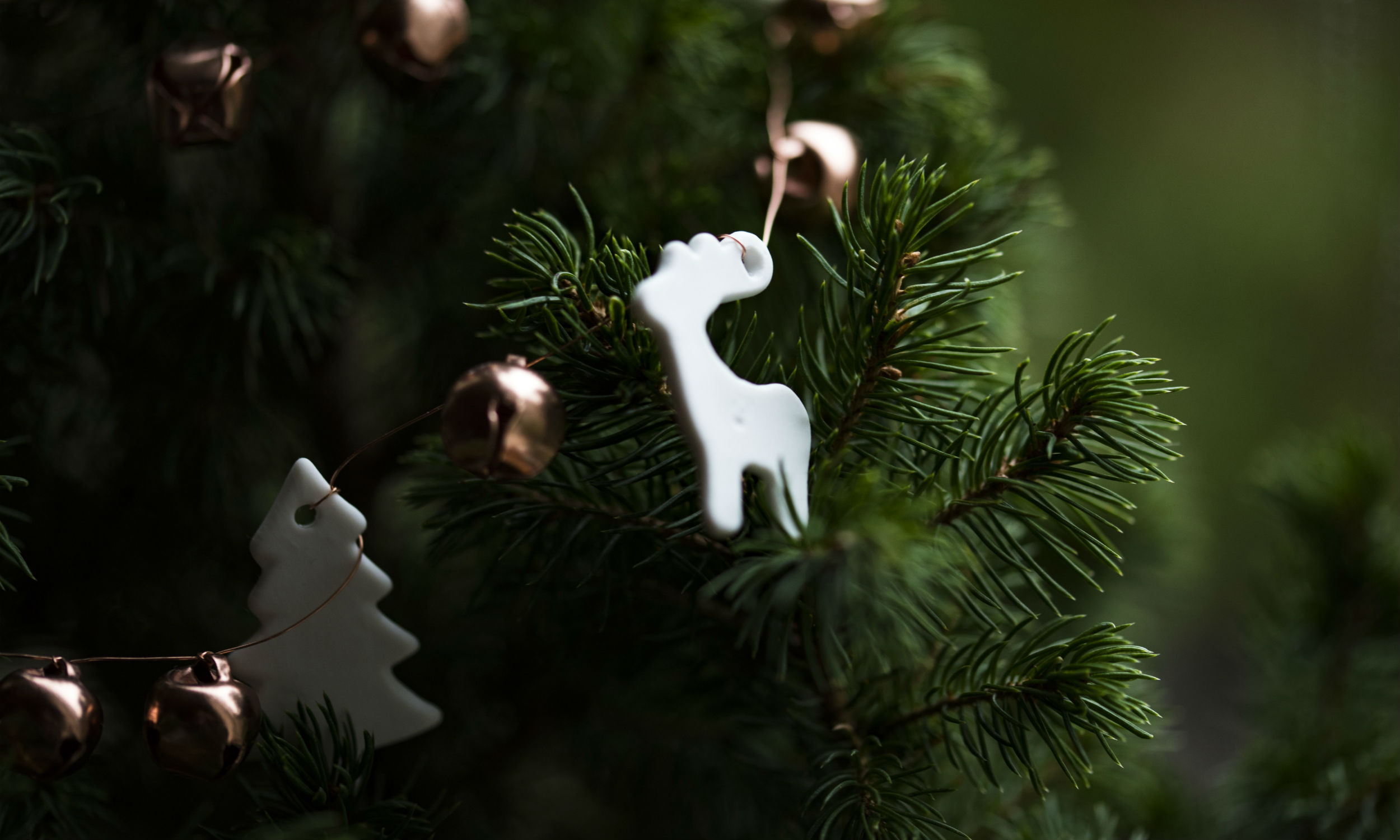 Sådan udnytter eller bortskaffer du dit juletræ efter jul