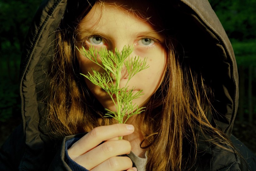 Natur på recept: Forskere vil gøre sundhedsvæsenet grønnere