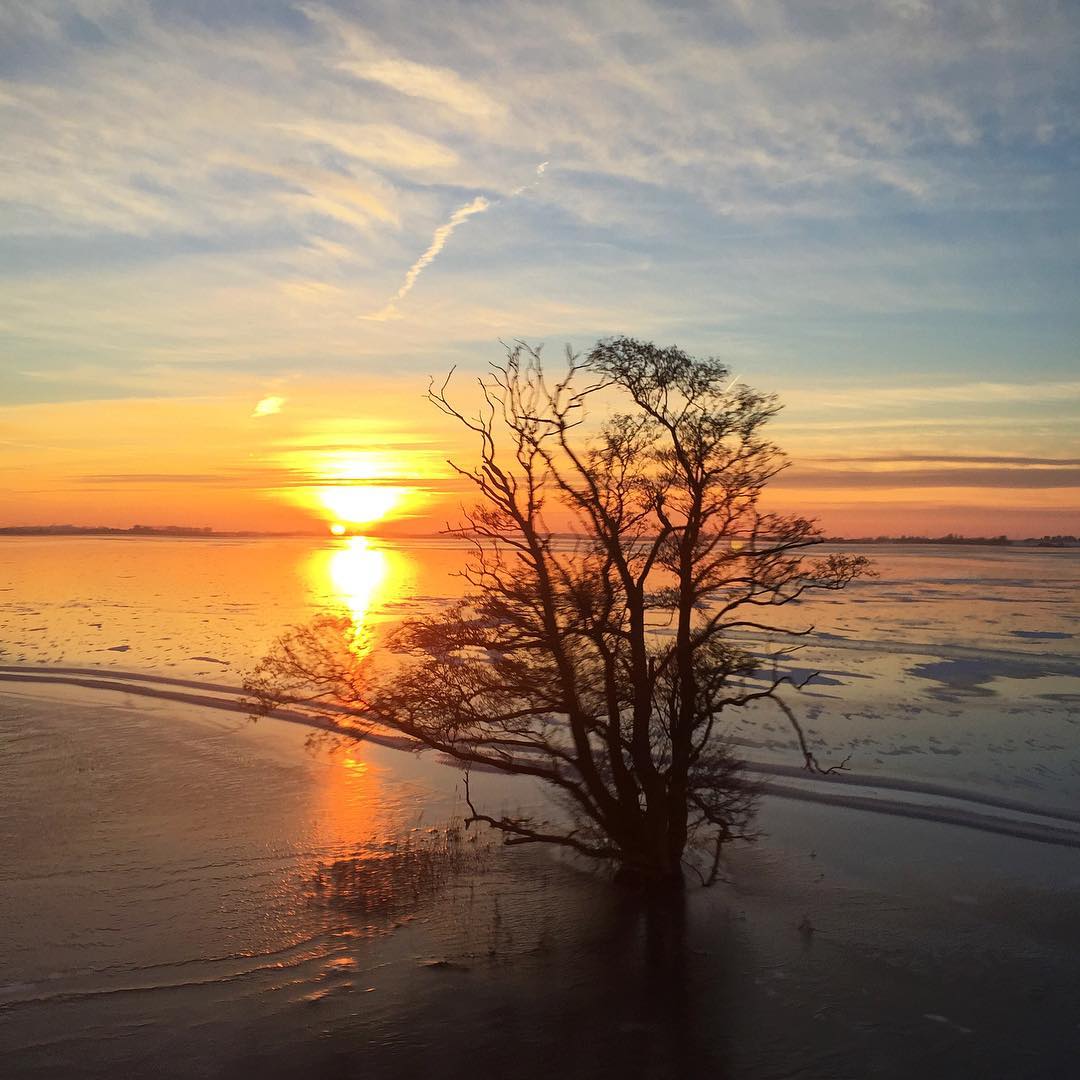 Tissø på Sjælland med solnedgang i horisonten og et træ på bredden