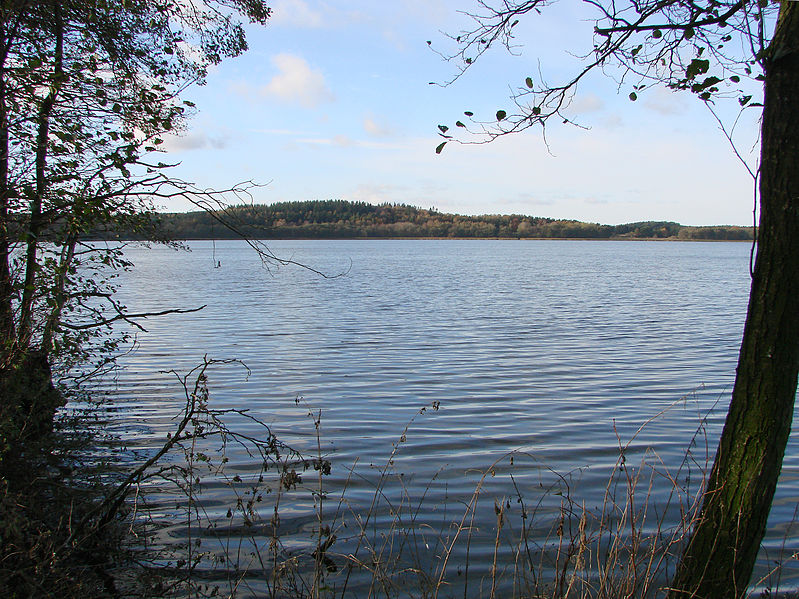 Nord for Ebeltoft ligger Djurslands største sø kaldet Stubbe Sø