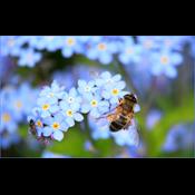 Når økonomien skal kickstartes: Danskerne vil prioritere investeringer i naturen