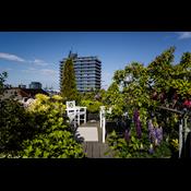 Sådan gør du storbyaltanen til en frodig urskov