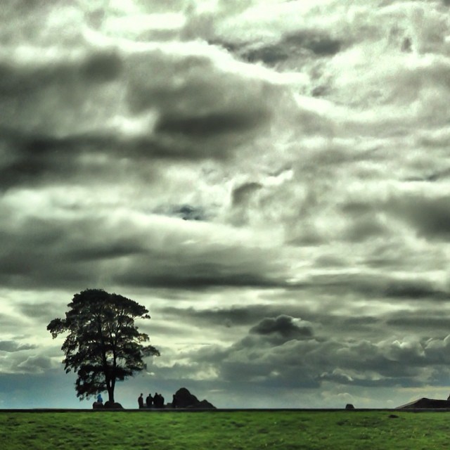 Dybbøl bakke set fra landet med et stort træ og mørk, skyet himmel
