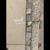 Planteaktivisme: Kridtstreger gør opmærksom på vilde planter