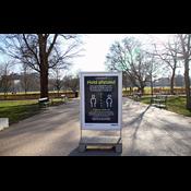 Coronatelt forstyrrede flagermus: Så fandt myndighederne en løsning