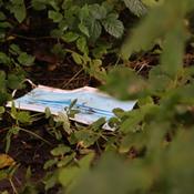 Mundbind og grænsedåser flyder: Så meget blev der fundet på Affaldsindsamlingen
