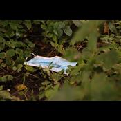 Mundbind og grænsedåser flyder: Så meget blev der fundet på Affaldsindsamlingen