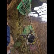 Fuglekugler med plastnet kan være en dødsfælde for dyr