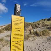 Giftforureninger lukkede strande i årevis: Nu skal de endelig ryddes op 