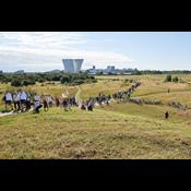 Byggeri eller biodiversitet? Københavnerne vil beskytte naturen på Amager Fælled