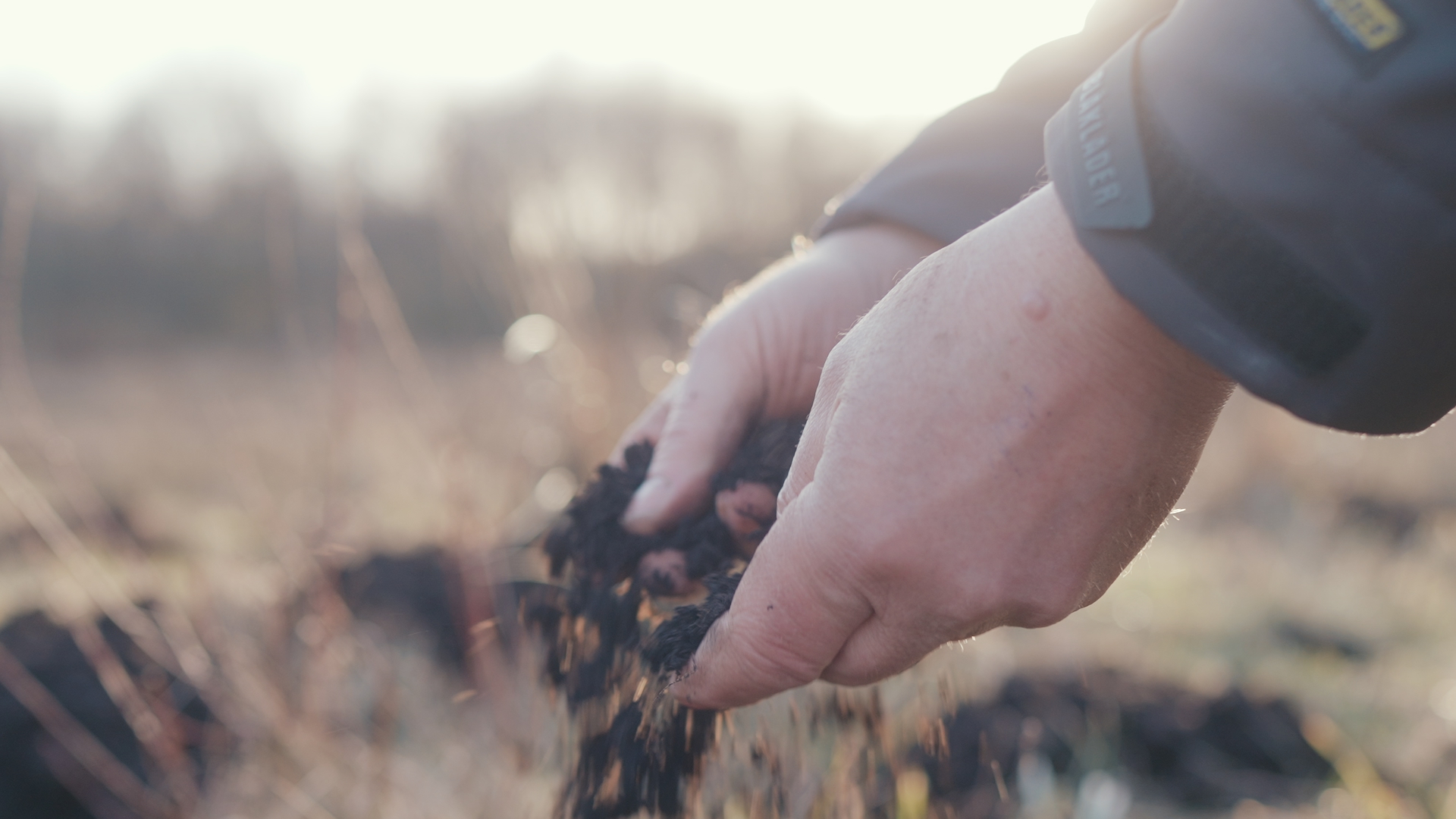 Kvægbonde: Jorden synker - så lad os nu tage den ud af drift og få naturen tilbage!