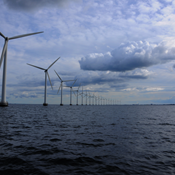 DN får medhold i sag om mangelfulde miljøundersøgelser for ny vindmøllepark 