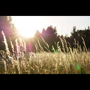 Regeringen kritiseres for at løbe fra aftale om sprøjteforbud ved drikkevandsboringer