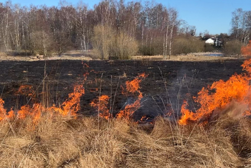 Der er ild i naturen netop nu  