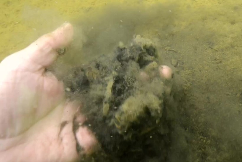 Forskere kritiserer regeringens nye kvælstofregnestykker