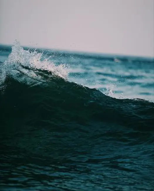 Forurening skal begrænses ved kilden