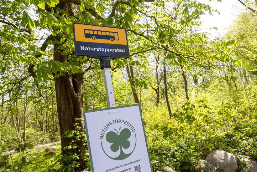 Naturstoppesteder skal få flere børnefamilier ud i naturen