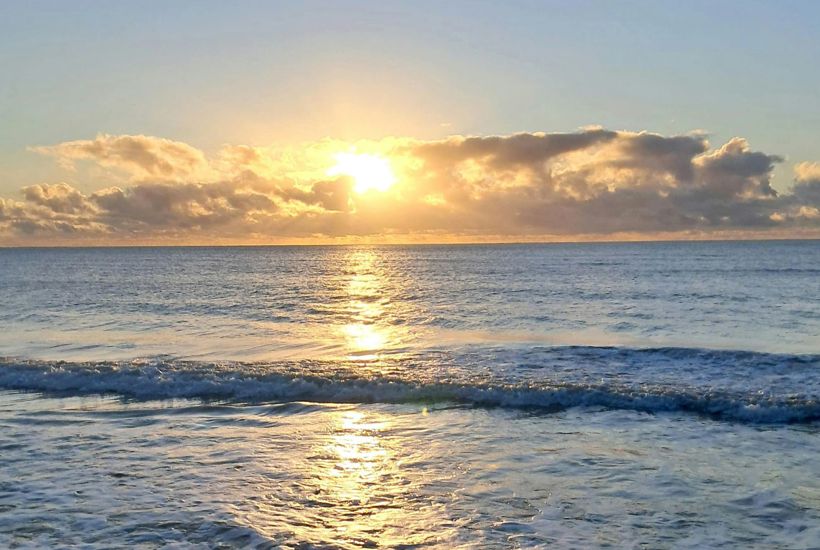 Endnu en fabrik får lov at udlede ekstremt giftige stoffer i havet