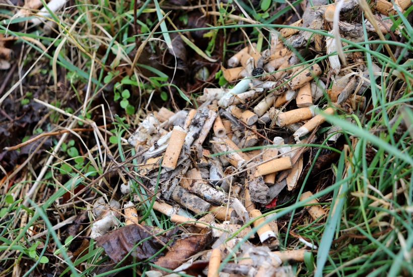 6 typer affald der oftest ligger og flyder i Danmark